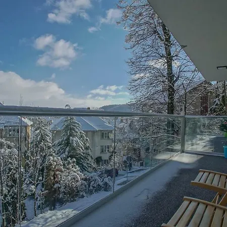 Cn2i Luxury Accommodation/maior Cranta Apartment Brasov